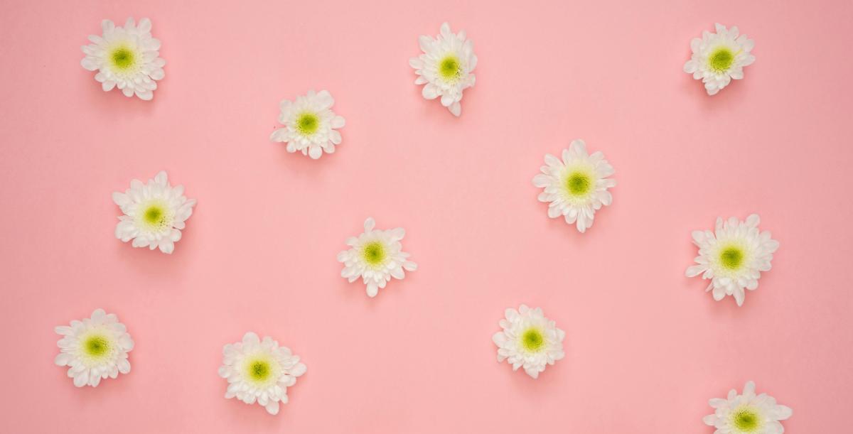 Felragasztott Tapéta