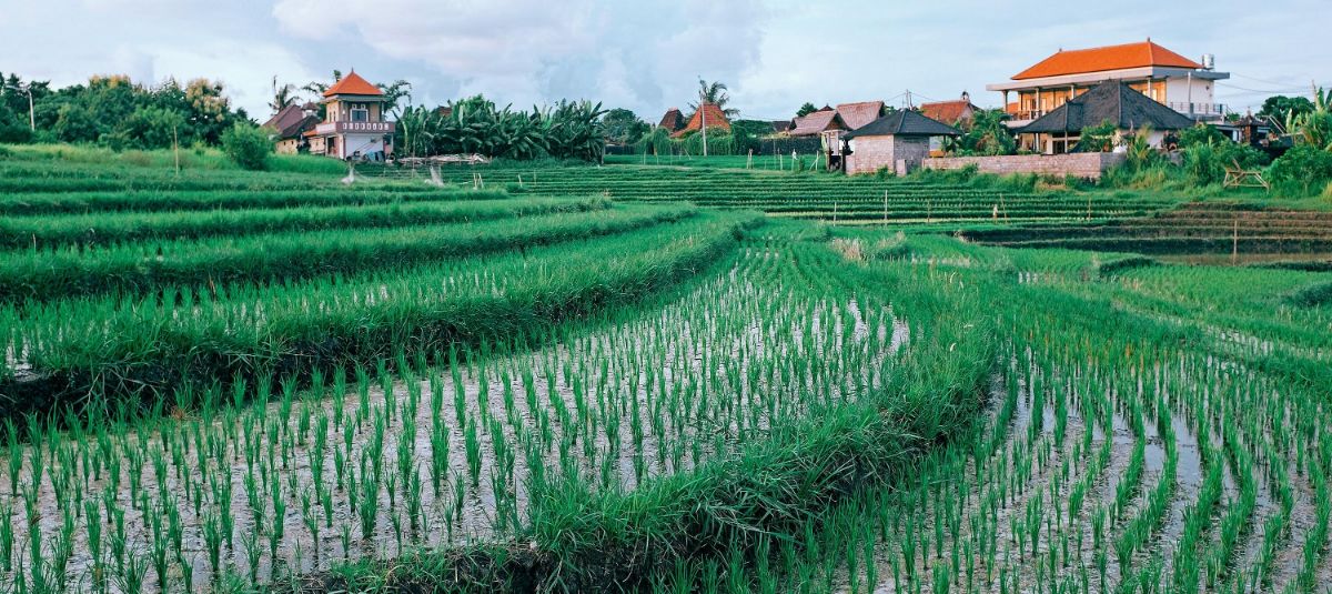 Az önzötéstechnikus munkája után