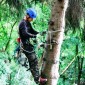 Referencia 1