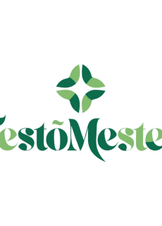 Festő Mester